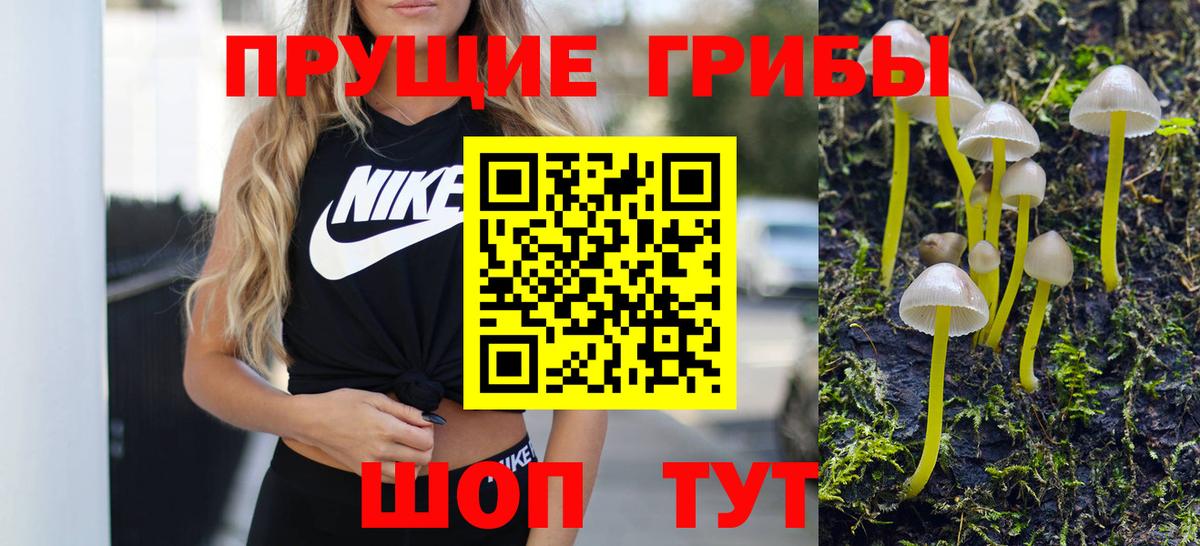 Галлюциногенные грибы GOLDEN TEACHER Чебоксары