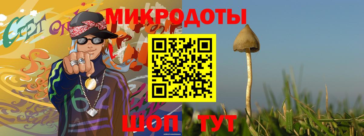 Псилоцибиновые грибы мицелий  Вход с VPN  Псилоцибиновые грибы мицелий  продажа наркотиков  Чебоксары 